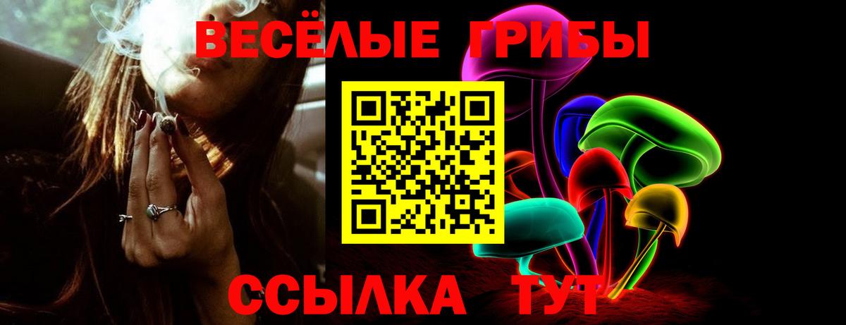 Галлюциногенные грибы Psilocybine cubensis Урай